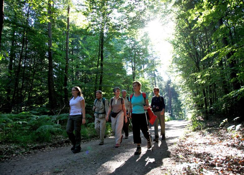 Paseo circular por el Grand Wintersberg