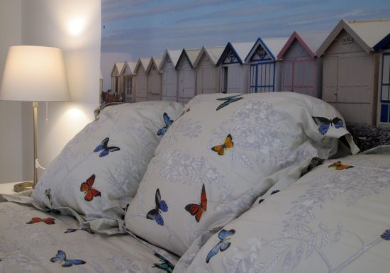 Meublé de M. Steinmetz – Gîtes du Tilleul – La porte blanche