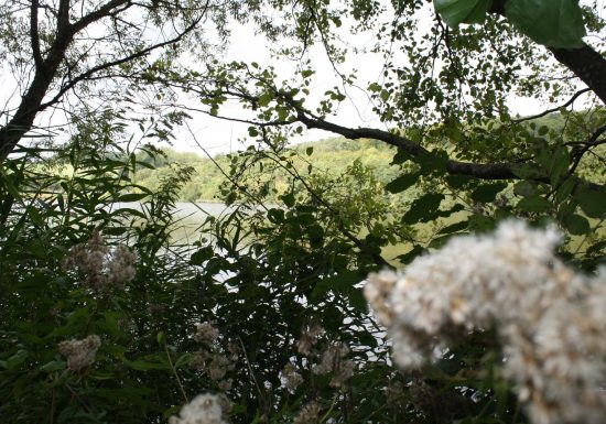 Circuit de randonnée de la piscine au plan d&rsquo;eau