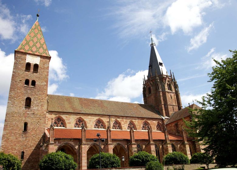 4-daagse wandellus in de Noordelijke Vogezen