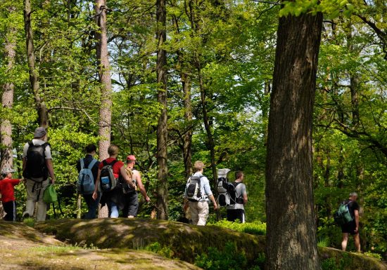 5-daagse wandellus in de Noordelijke Vogezen