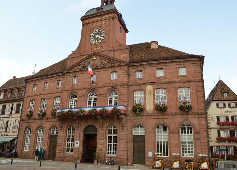 5-day hiking loop in the Northern Vosges