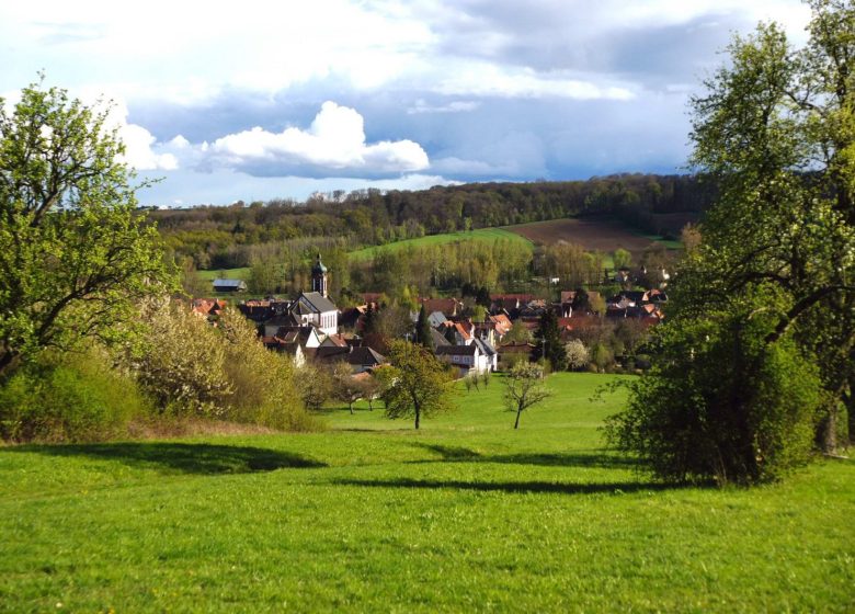 Clos des Lamas – Lama’s Touch