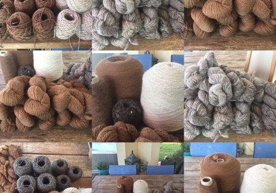 Clos des Lamas – Lama’s Touch