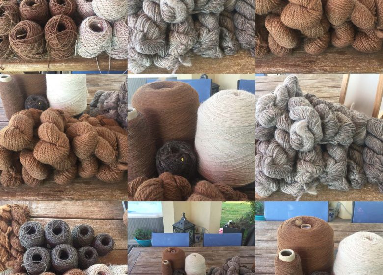 Clos des Lamas – Lama’s Touch