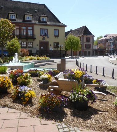 Itinérance à vélo autour des Stations Vertes : de Niederbronn-les-Bains à Dossenheim-sur-Zinsel