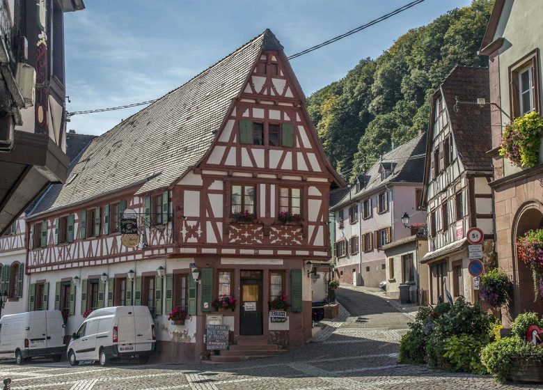 Ciclismo alrededor de las estaciones verdes: de Niederbronn-les-Bains a Dossenheim-sur-Zinsel