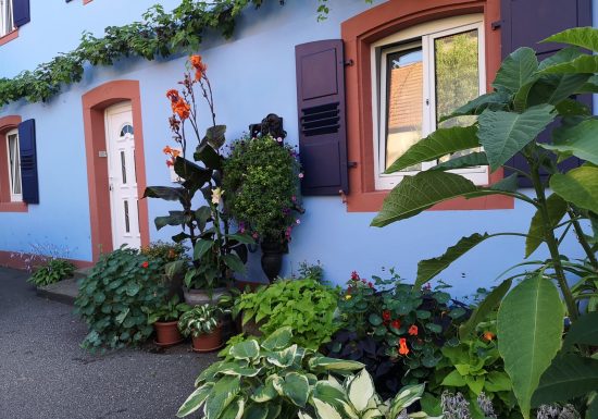 Meublé de Mme Fullenwarth