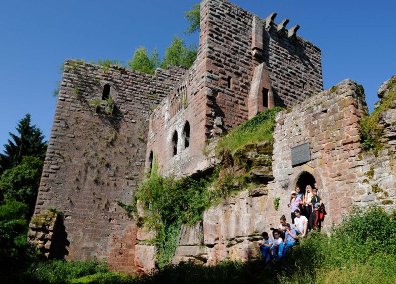 Visite des ruines du château de la Wasenbourg