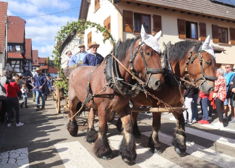 Les vendanges d&rsquo;antan