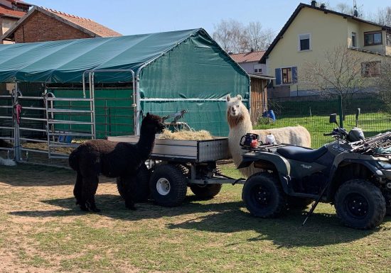 Clos des Lamas – Lama’s Touch