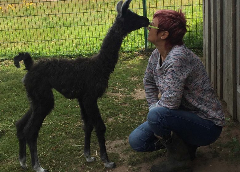 Clos des Lamas – Lama’s Touch