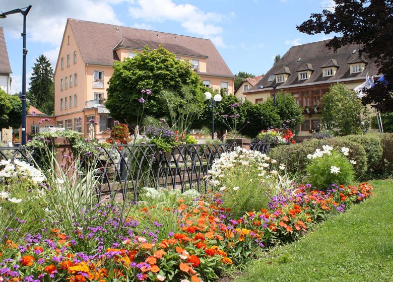 Fietsuitje Stations Vertes van Lembach naar Niederbronn-les-Bains