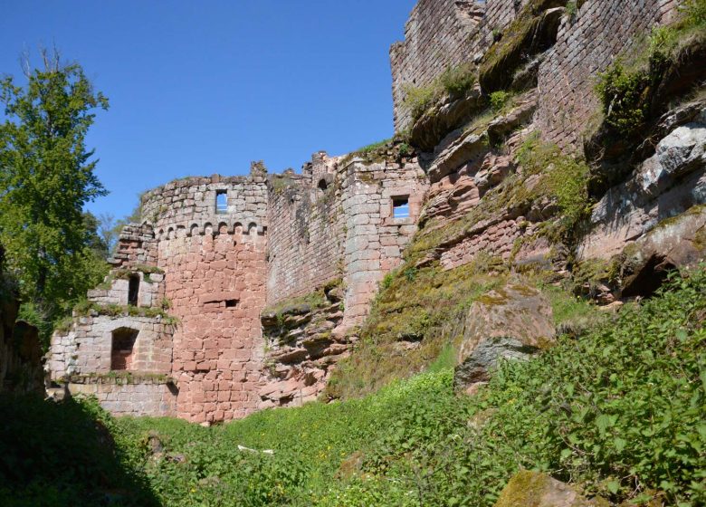 Wanderung von Schloss Lutzelhardt zu den Schlössern Schöneck und Wineck