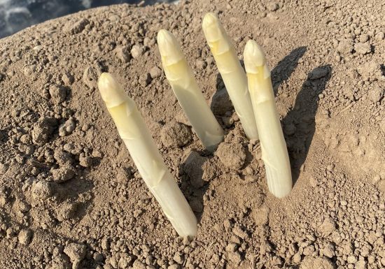 Ferme Scharrenberger