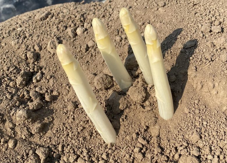 Ferme Scharrenberger