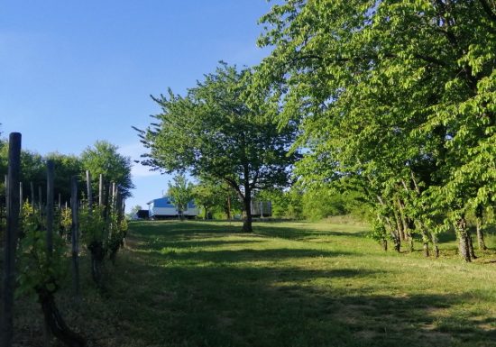 Tiny House de Katy et Bruno Niess