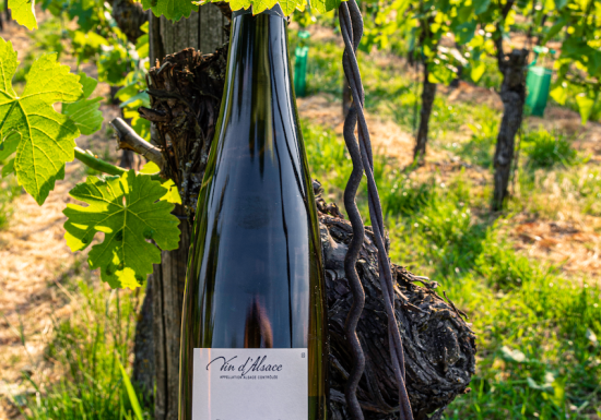 Cave vinicole de Cleebourg