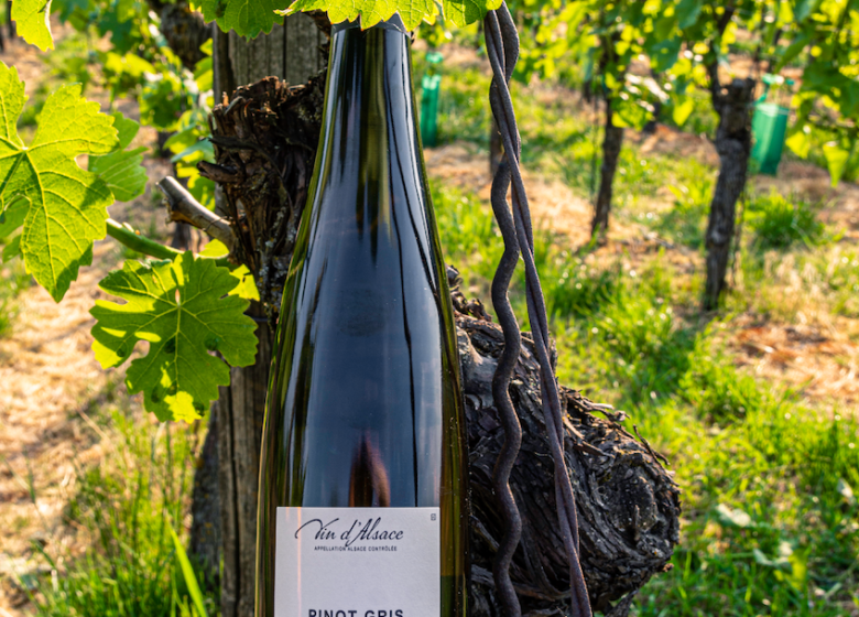 Cave vinicole de Cleebourg