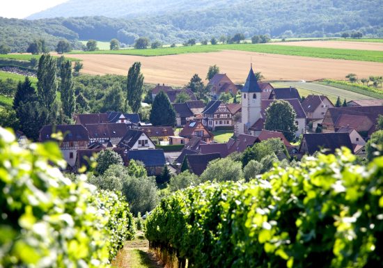 Cave vinicole de Cleebourg