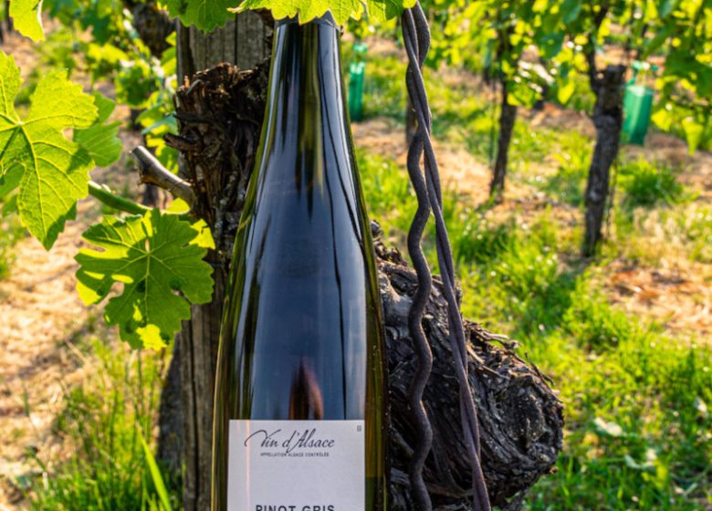 Cave vinicole de Cleebourg