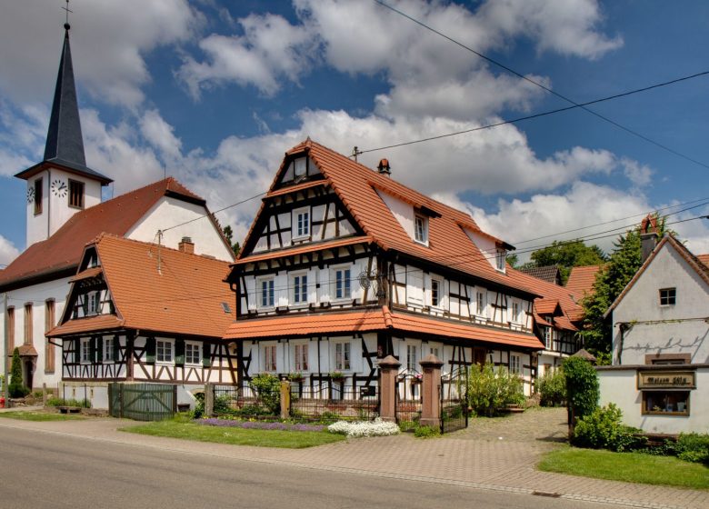 Maison Jülg, vins et crémants d’Alsace