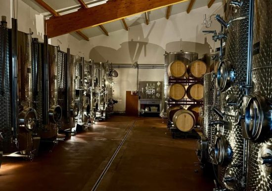 Maison Jülg, vins et crémants d&rsquo;Alsace