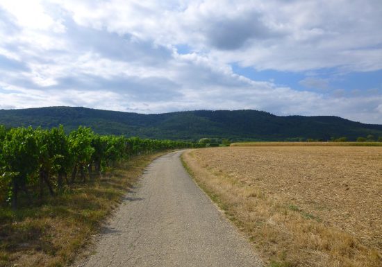 À pied à travers plaine et piémont