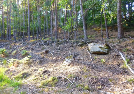 À pied à travers plaine et piémont