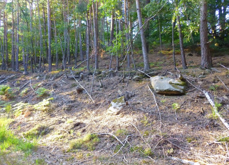 À travers plaine et piémont