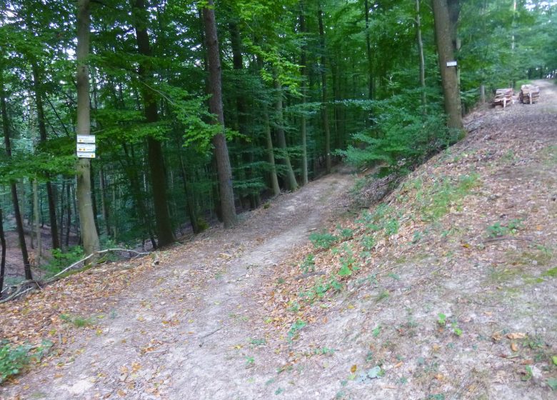 À travers plaine et piémont