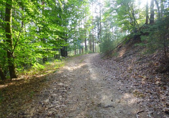 À pied à travers plaine et piémont