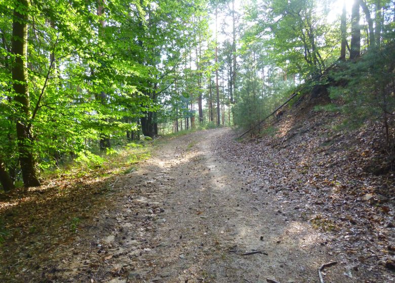 À travers plaine et piémont