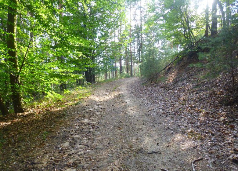 À pied à travers plaine et piémont