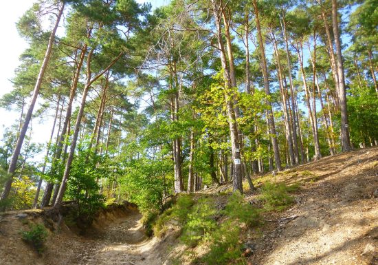 À pied à travers plaine et piémont