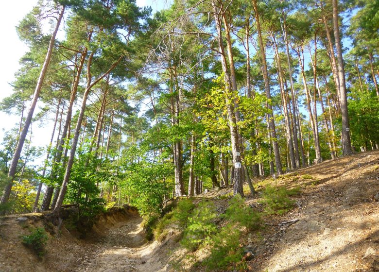 À pied à travers plaine et piémont