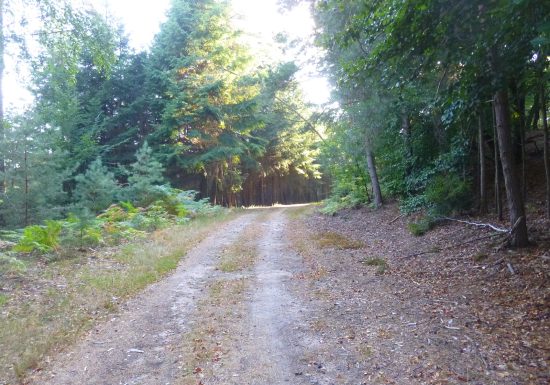 À pied à travers plaine et piémont
