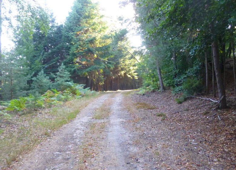 À travers plaine et piémont