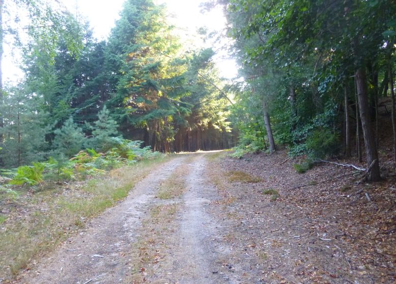 À pied à travers plaine et piémont