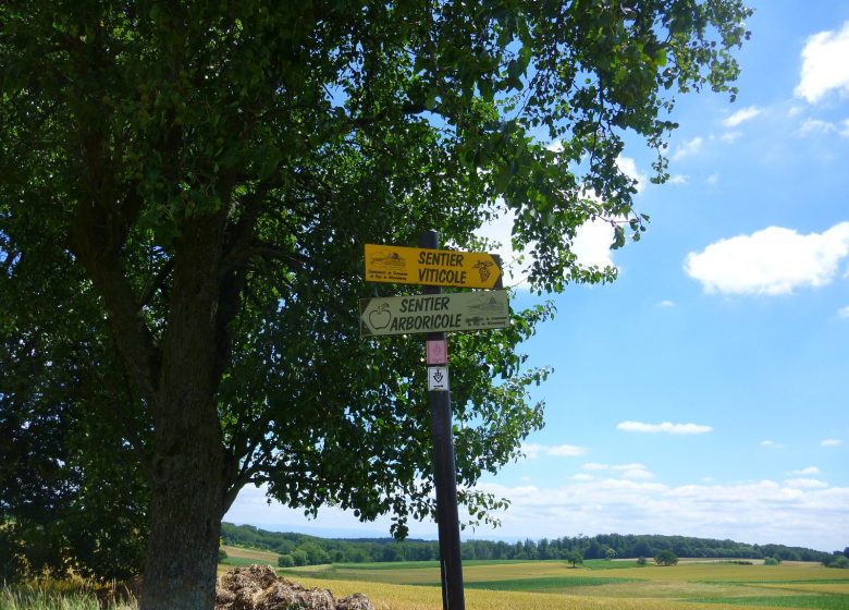 Sendero del árbol de Cleebourg