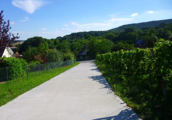 Sentier arboricole de Cleebourg