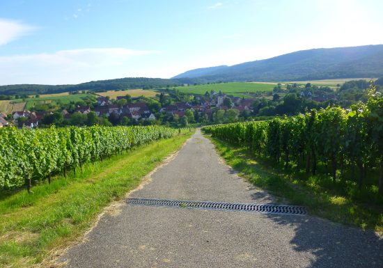 Ruta del vino de Cleebourg