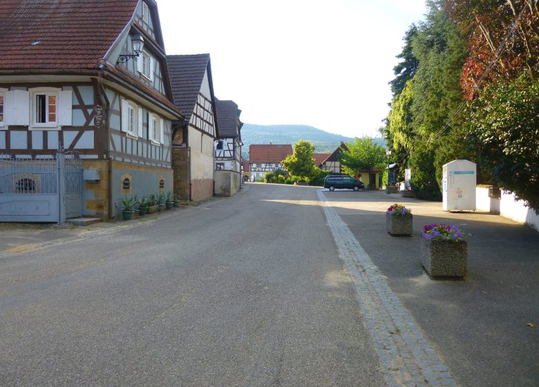 Sentier viticole de Cleebourg