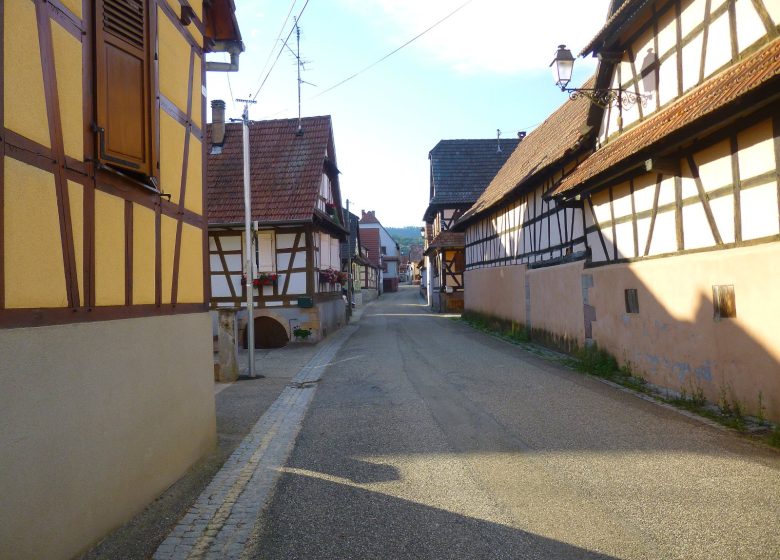 Sentier viticole de Cleebourg