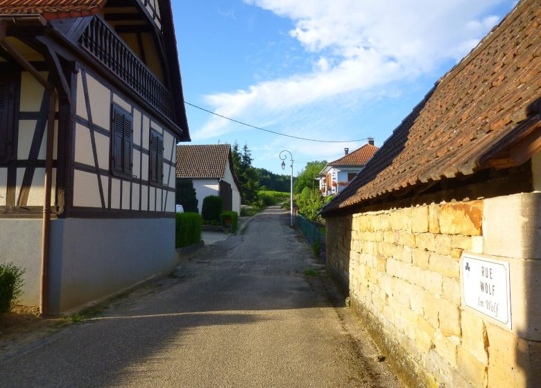 Ruta del vino de Cleebourg