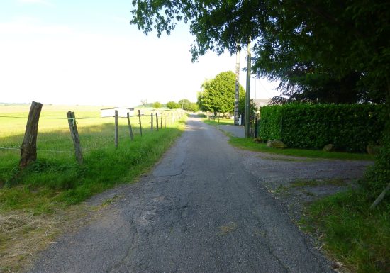 Promenade viticole de Cleebourg