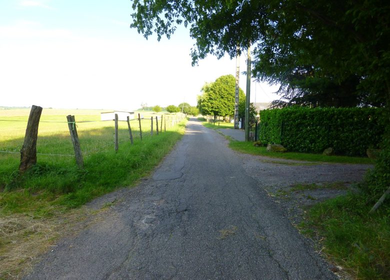 Sentier viticole de Cleebourg