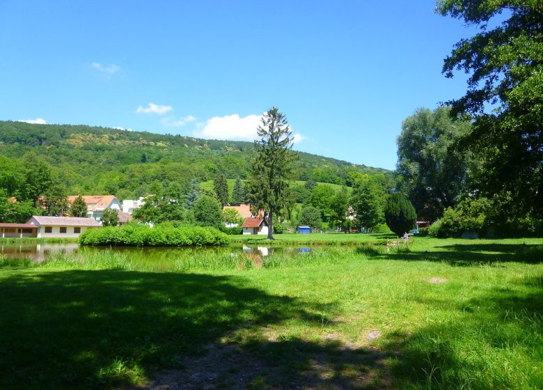 Weintour ohne Grenzen