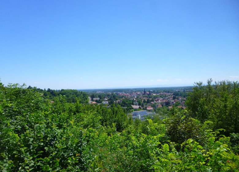 Weintour ohne Grenzen