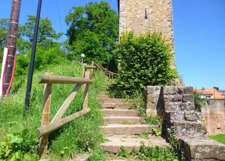 Weintour ohne Grenzen